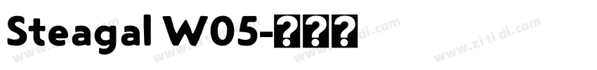 Steagal W05字体转换